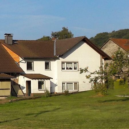 Ferienwohnung Auf Dem Pferdehof Schotten Exterior foto